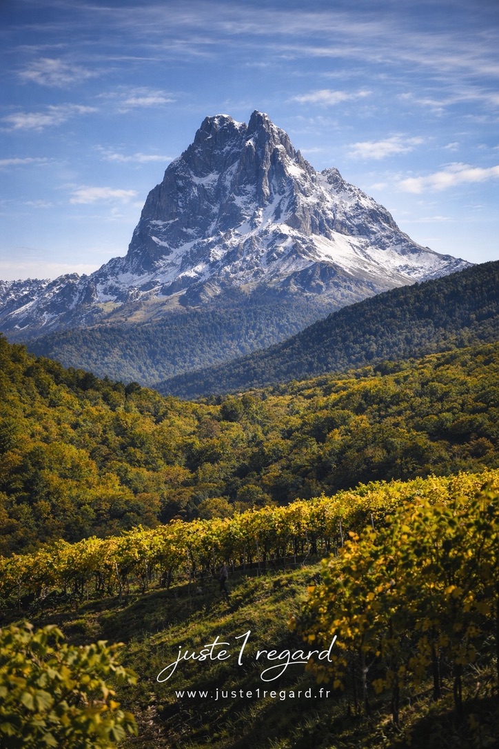 072AD423-F15F-4E80-95F8-8938C75671FE_1_105_c