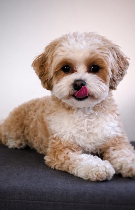 0C0F4C74-FC77-41E2-85AF-ADF39D4C4DEC