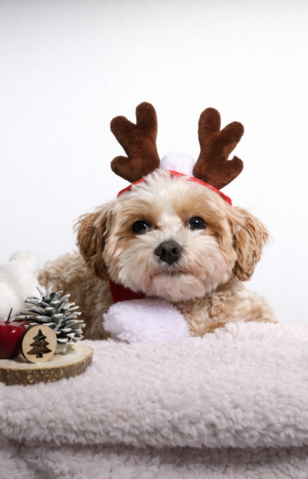 16F904BF-7DA9-4A03-BDD2-2B301F576159