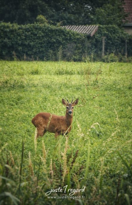 29334552-5859-43EE-BD2B-6C803BDD249F