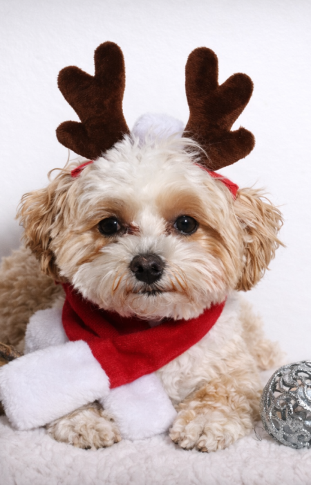 5CFE2434-C341-4973-866B-BB82A7F869B0