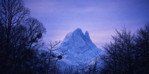 822C6E99-C5EC-4101-BB17-712834664FB2_1_105_c