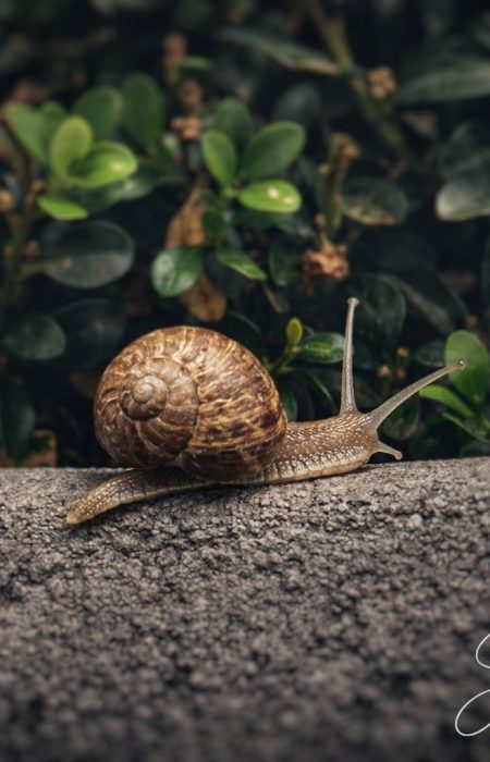 A2ADFAE0-1866-429D-A7B3-DADAB4A73681_1_102_o