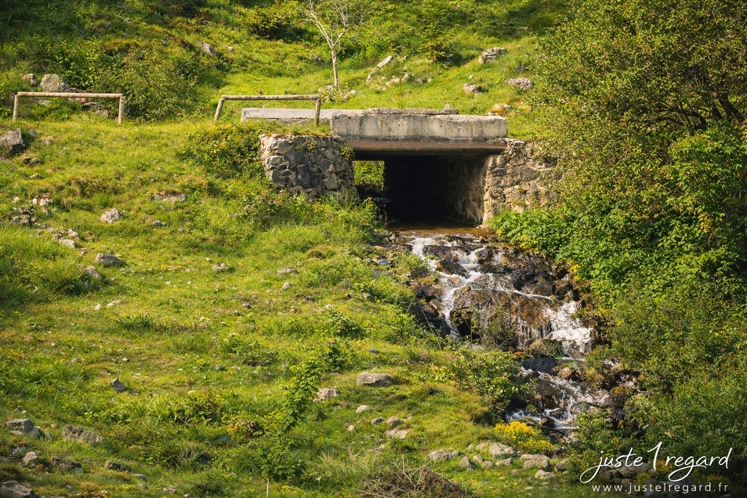 A3BAB80D-947A-4A05-B52E-5832E9F1F790_1_105_c