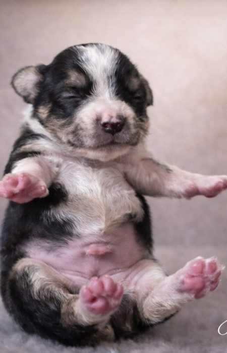 A7E2ABF0-3140-4539-82E9-424423FC4FFA_1_102_o