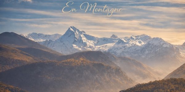 ABAA0463-7CF0-43EF-BD3C-48B34568A765_1_105_c