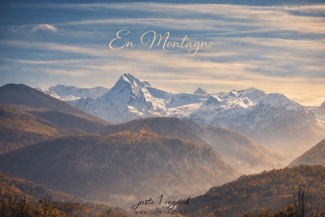 ABAA0463-7CF0-43EF-BD3C-48B34568A765_1_105_c