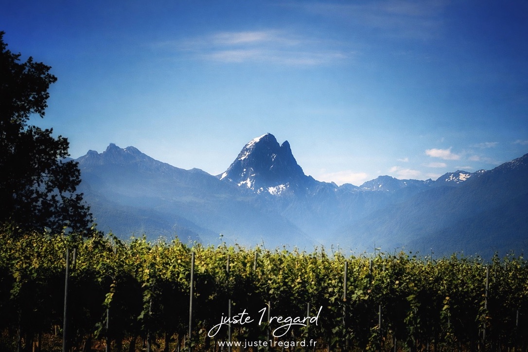 B3DB6BF4-CBF2-45A9-A66B-5B454F663BBE_1_105_c