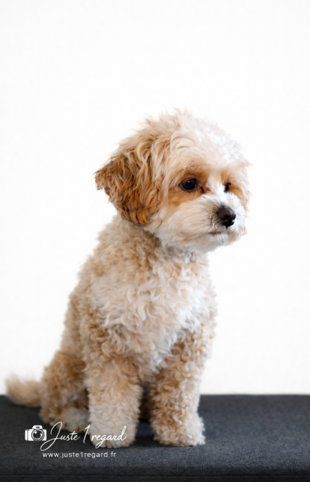 C9738496-424D-4D4F-A490-94F5FD677E15