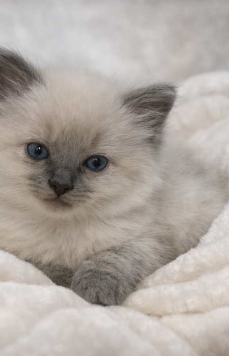 D9D70C01-DD59-4463-B27D-C2BC711711D5