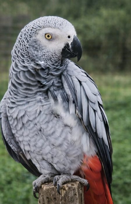 EF129644-5226-4FBE-9457-F80DCF29CE53